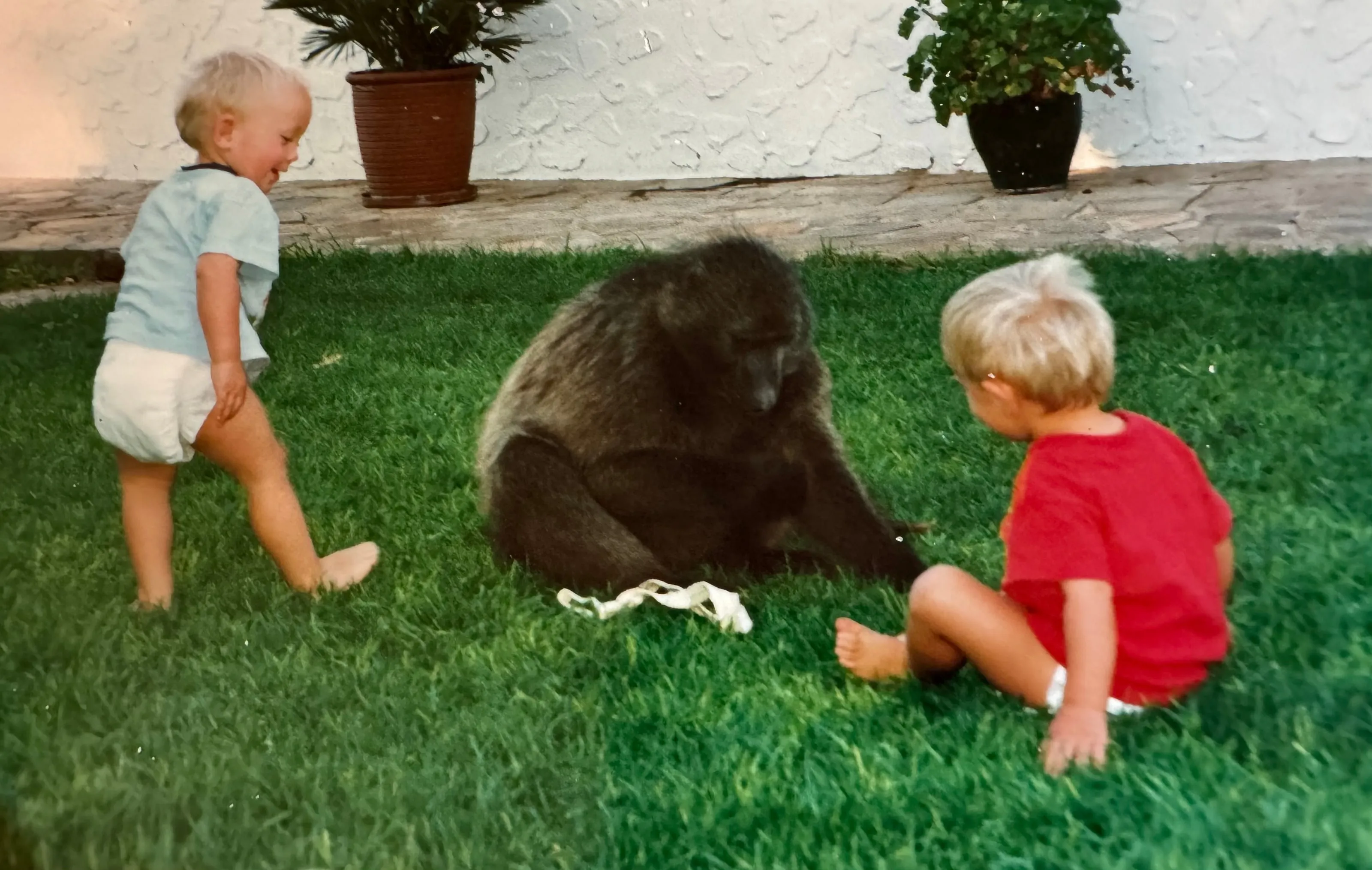 Archive photo: two small children playing with Cindy on the lawn