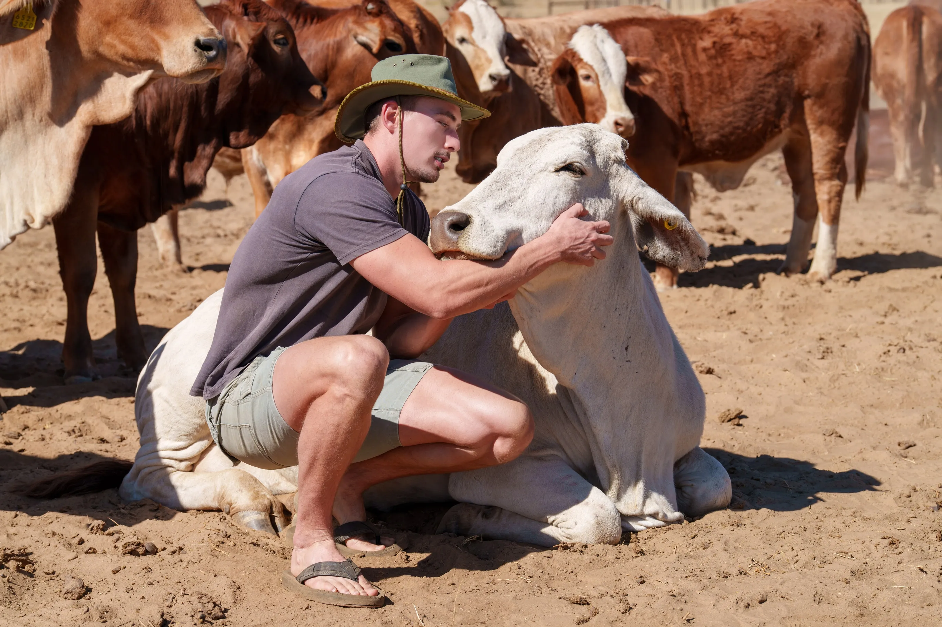 Ruben with the farm’s cattle
